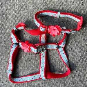 Martha Stewart | Matching dog collar and harness